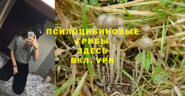 бутик Новозыбков