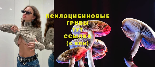 бутик Новозыбков