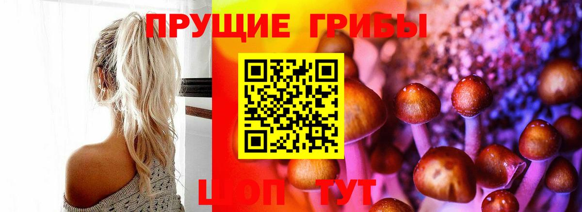 Псилоцибиновые грибы MAGIC MUSHROOMS  Псилоцибиновые грибы GOLDEN TEACHER  Вход с VPN  Полевской 